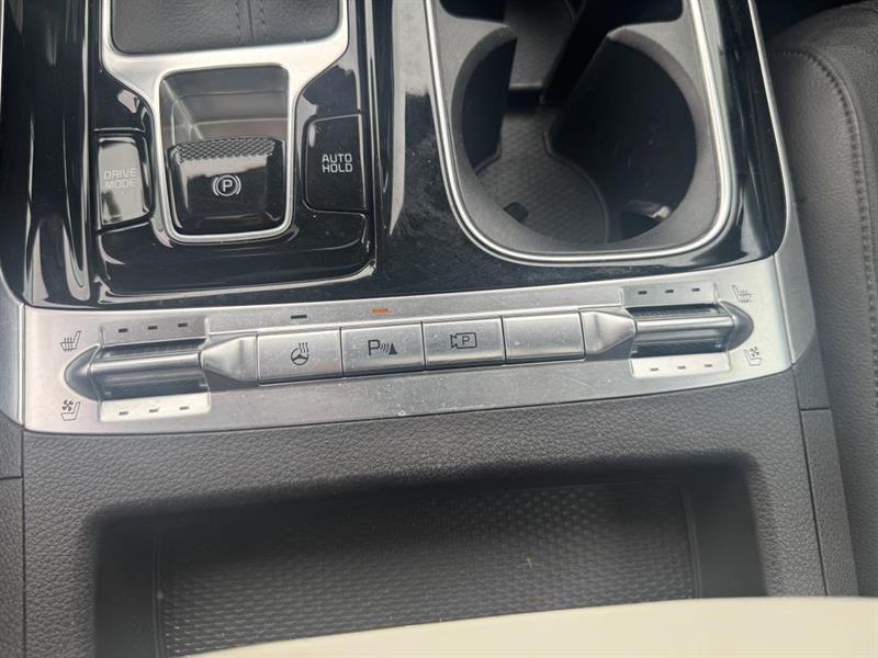 kia Carnival 2024 - 21