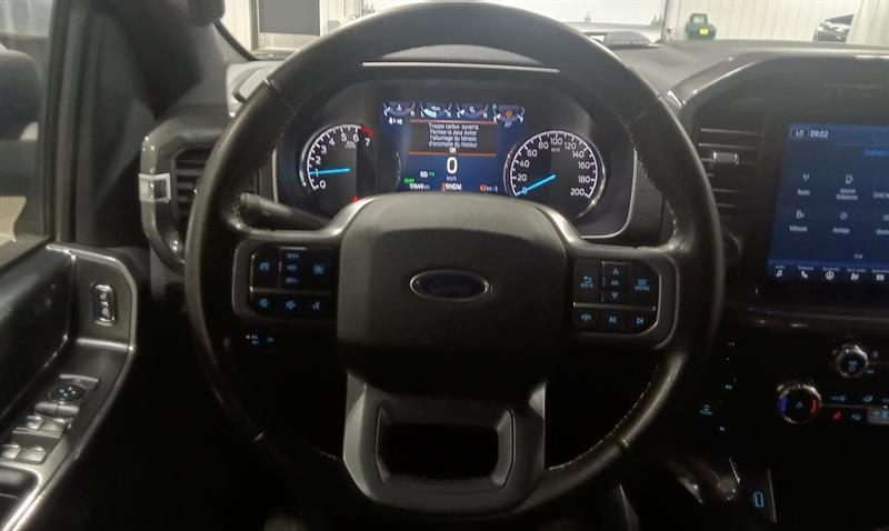 ford F-150 2023 - 15