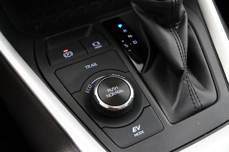 toyota RAV4 Hybrid 2024 - 24