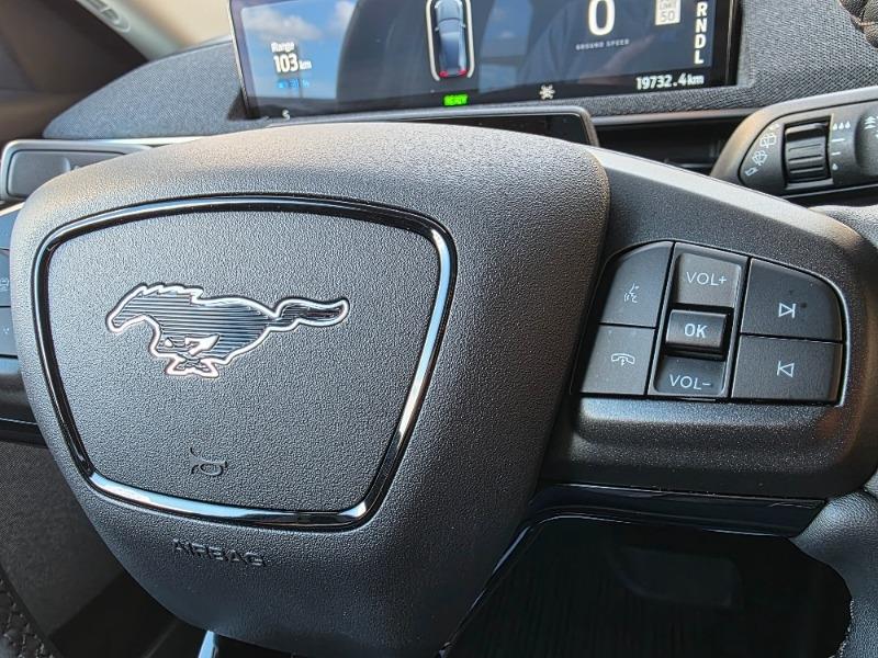 ford Mustang Mach-E 2023 - 29