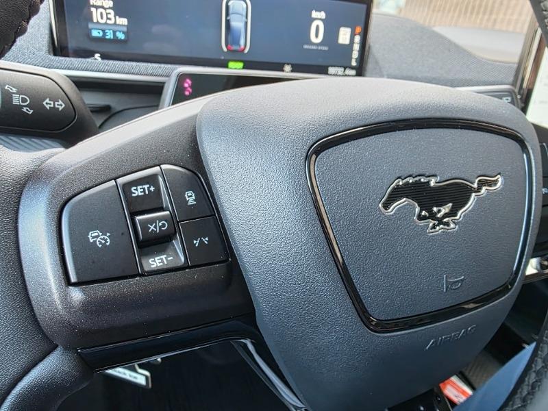 ford Mustang Mach-E 2023 - 30