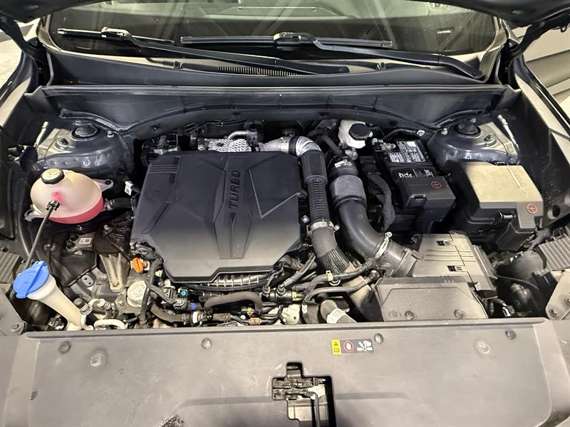 kia Sorento 2022 - 25