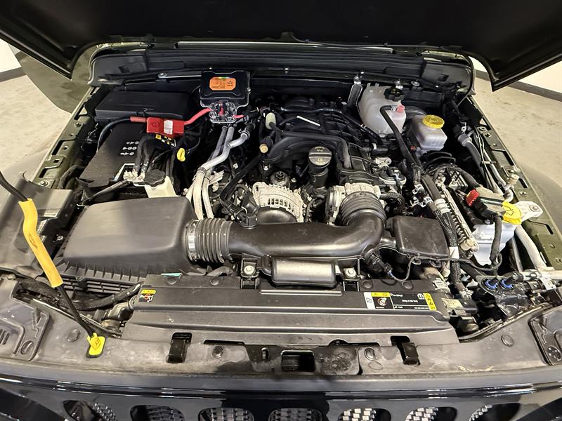 jeep Wrangler 2023 - 24