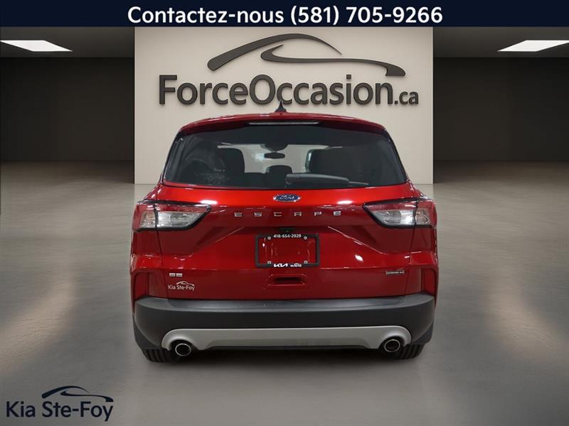 ford Escape 2022 - 5