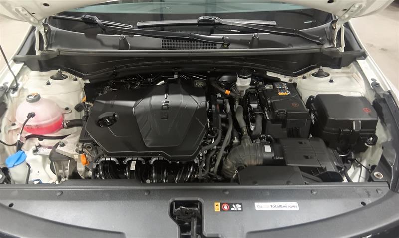 kia Sportage 2024 - 7