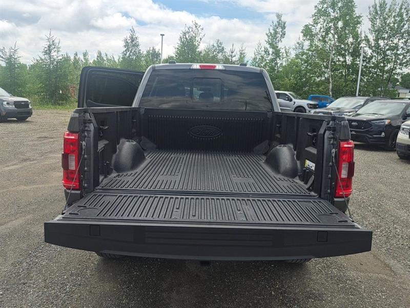 ford F-150 2023 - 18
