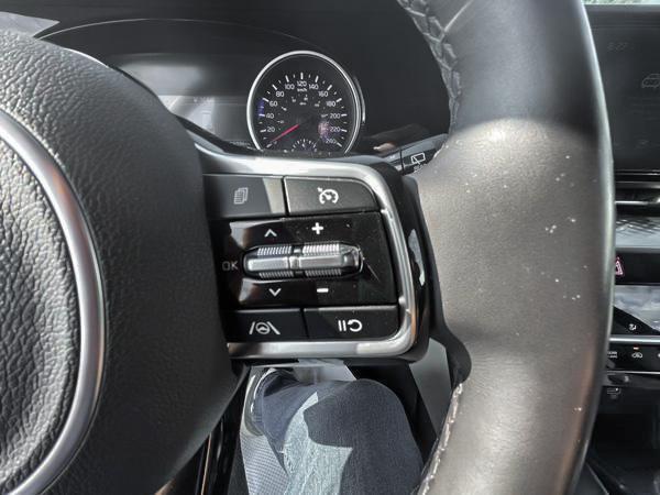 kia Carnival 2023 - 14