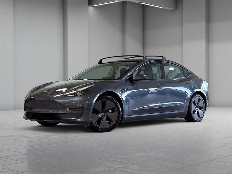 tesla Model 3 2021