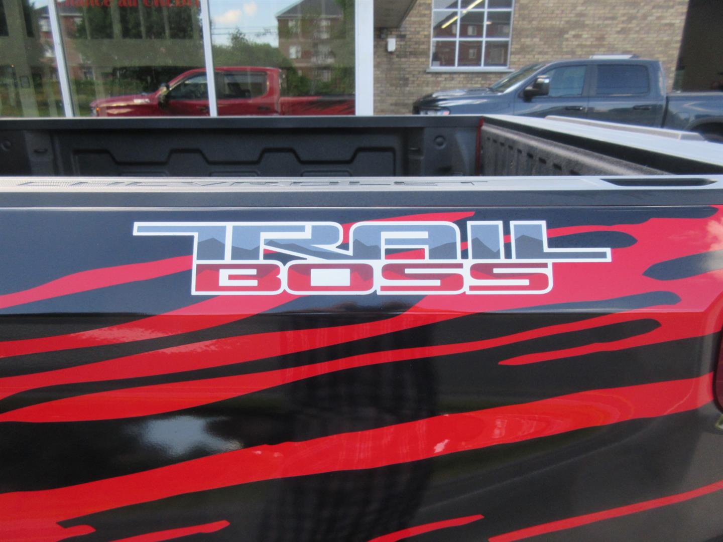 chevrolet Silverado 1500 2024 - 13