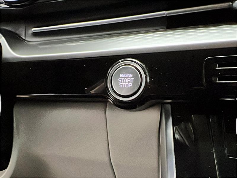 kia Carnival 2024 - 19