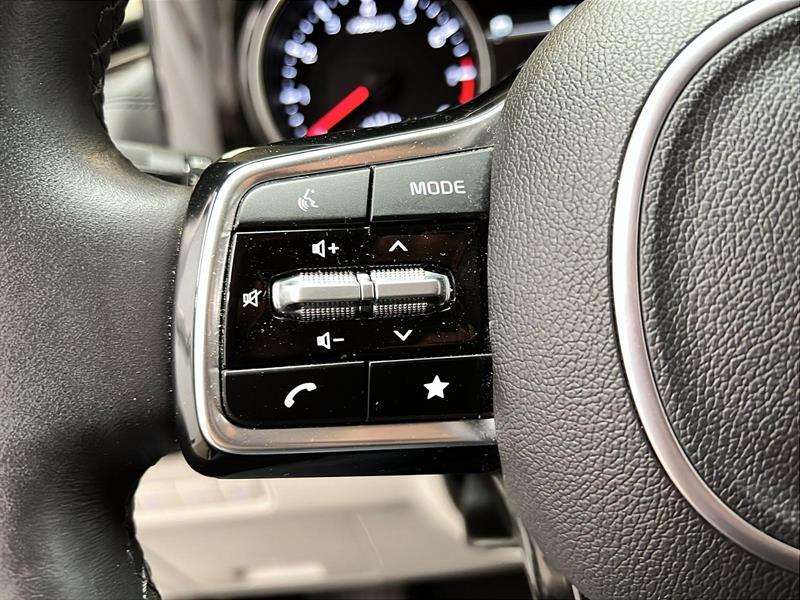 kia Carnival 2024 - 21