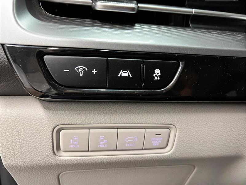 kia Carnival 2024 - 22