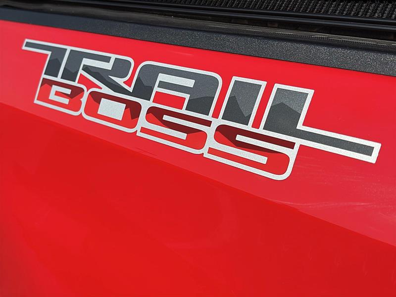 chevrolet Silverado 1500 2024 - 14