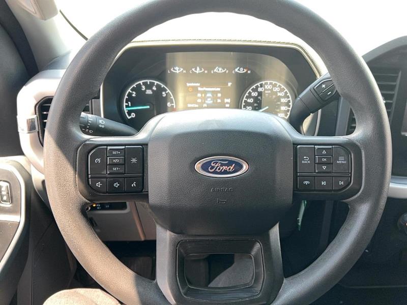 ford F-150 2023 - 14