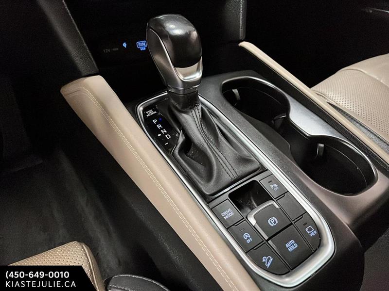 hyundai Santa Fe 2020 - 18