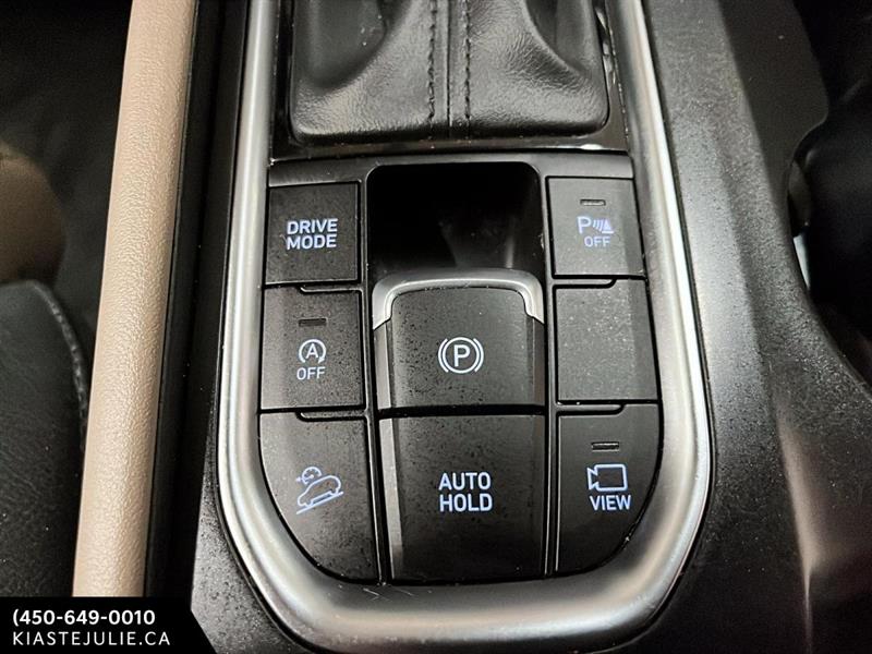 hyundai Santa Fe 2020 - 19
