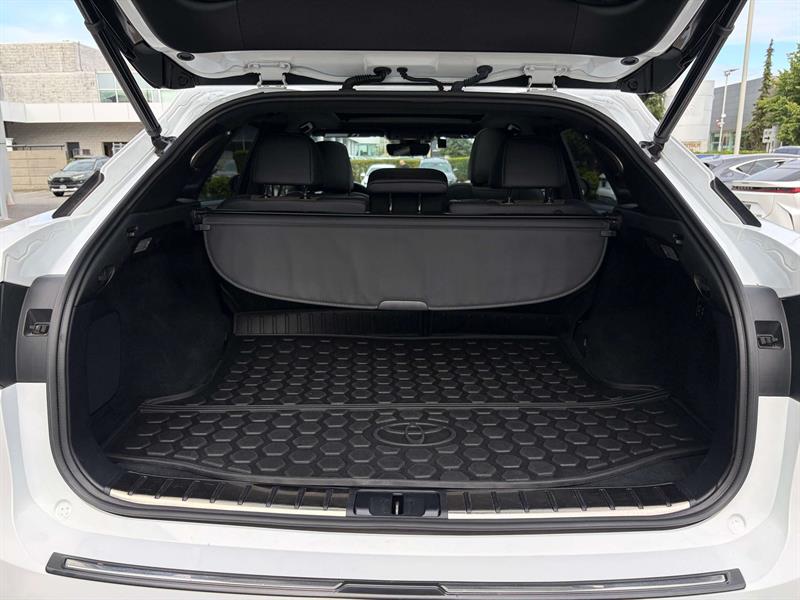 lexus RX 350 2017 - 24
