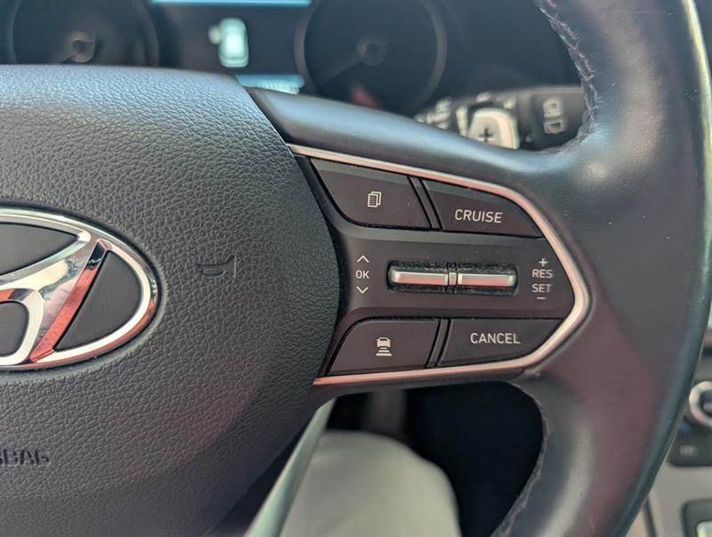 hyundai Palisade 2020 - 22