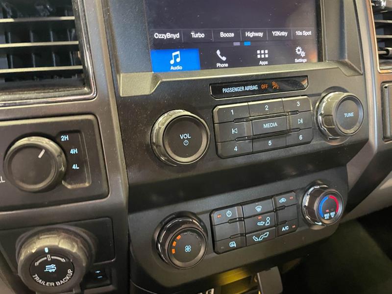 ford F-150 2019 - 13