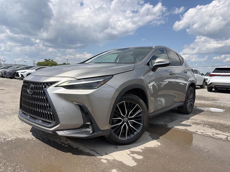 lexus NX 2022