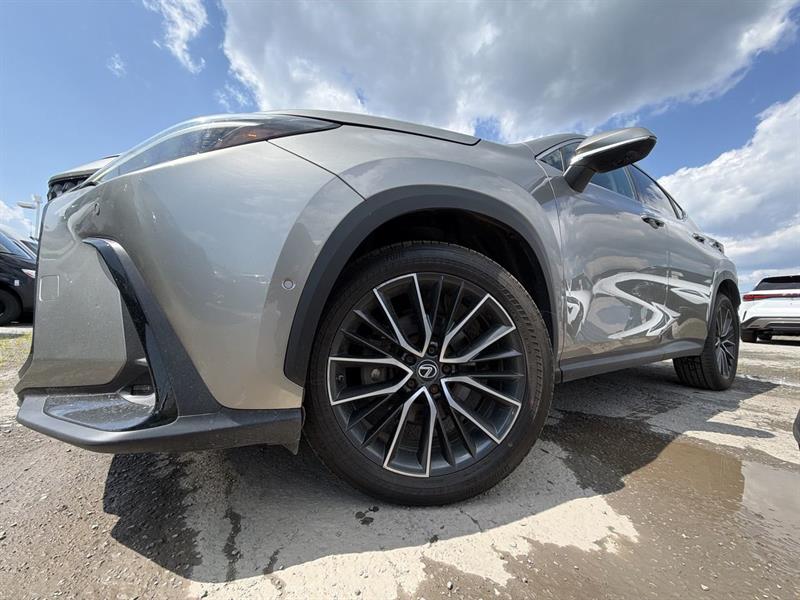 lexus NX 2022 - 2
