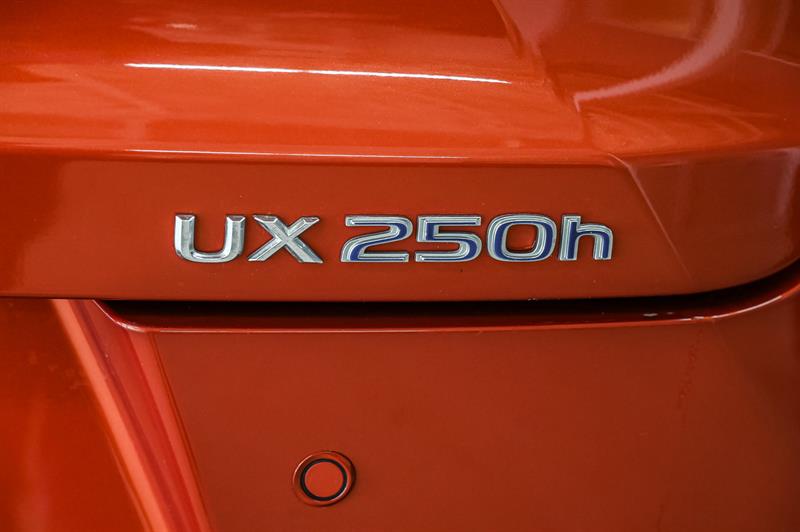 lexus UX 250h 2021 - 15