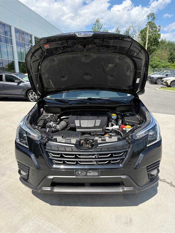 subaru Forester 2022 - 24