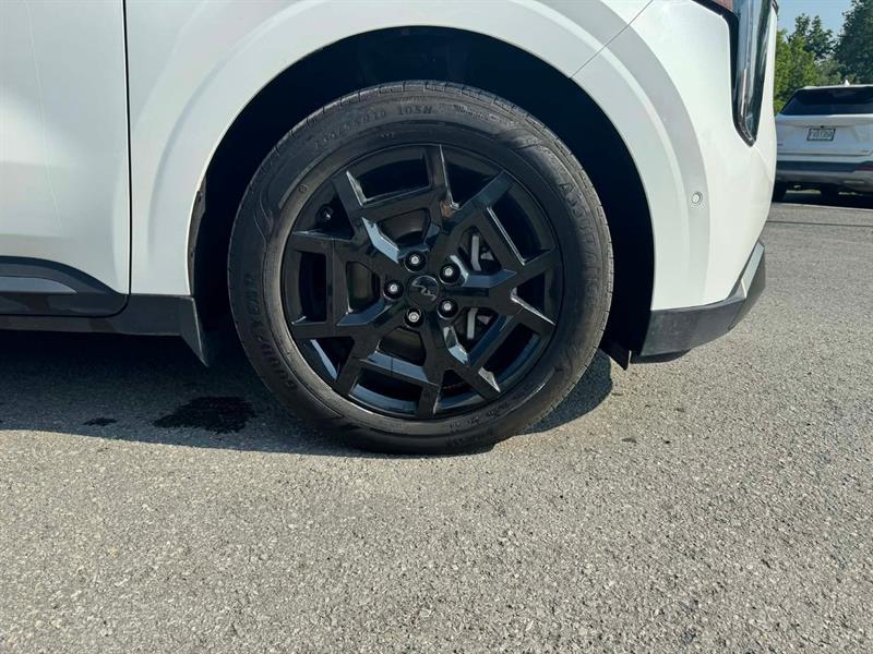 kia Carnival Hybrid 2025 - 24