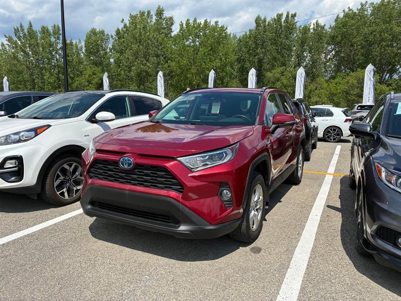 toyota RAV4 2019