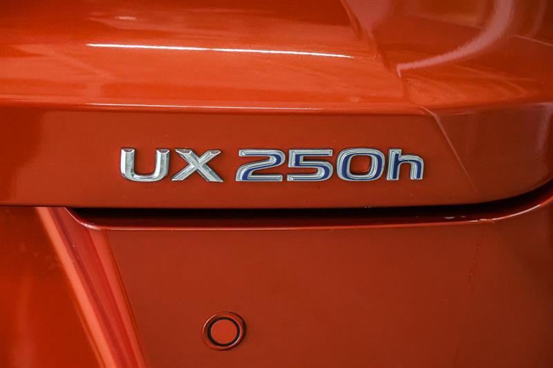 lexus UX 250h 2021 - 15