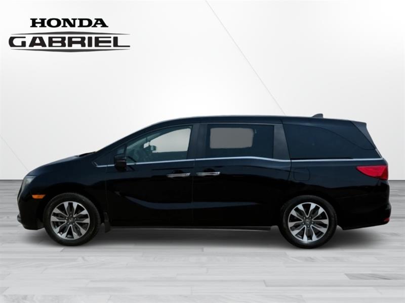 honda Odyssey 2023 - 2