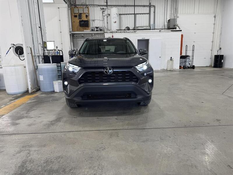toyota RAV4 2025 - 2