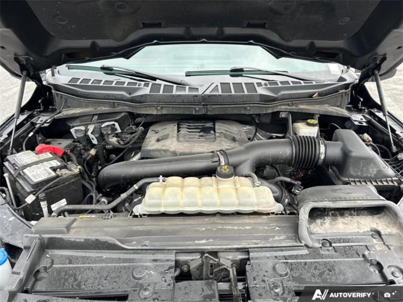 ford F-150 2023 - 13