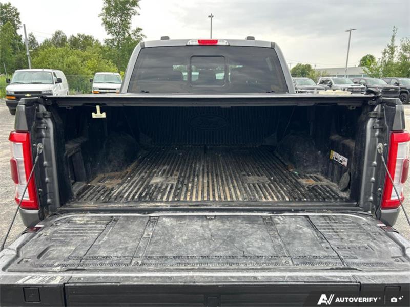 ford F-150 2023 - 15