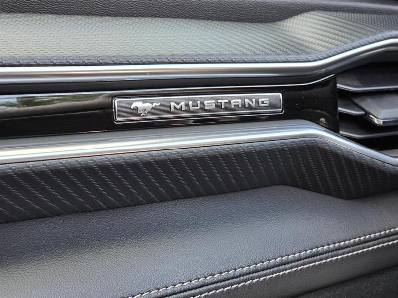 ford Mustang 2025 - 20