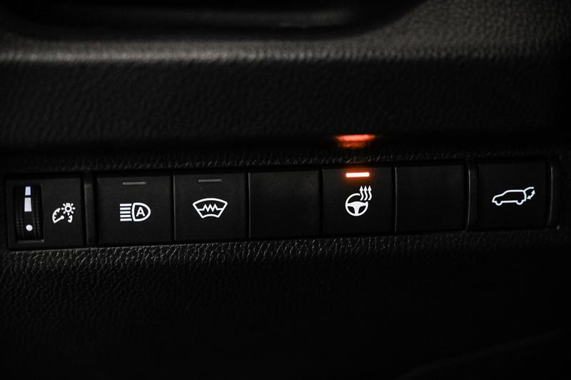 toyota RAV4 Hybrid 2024 - 25