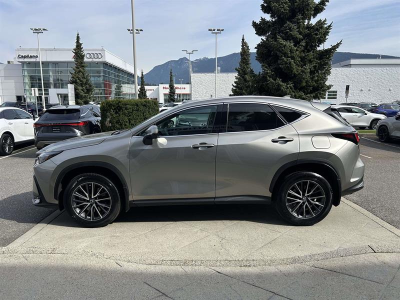 lexus NX 2023 - 2