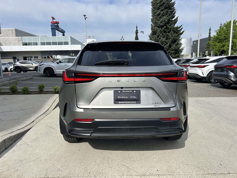 lexus NX 2023 - 4