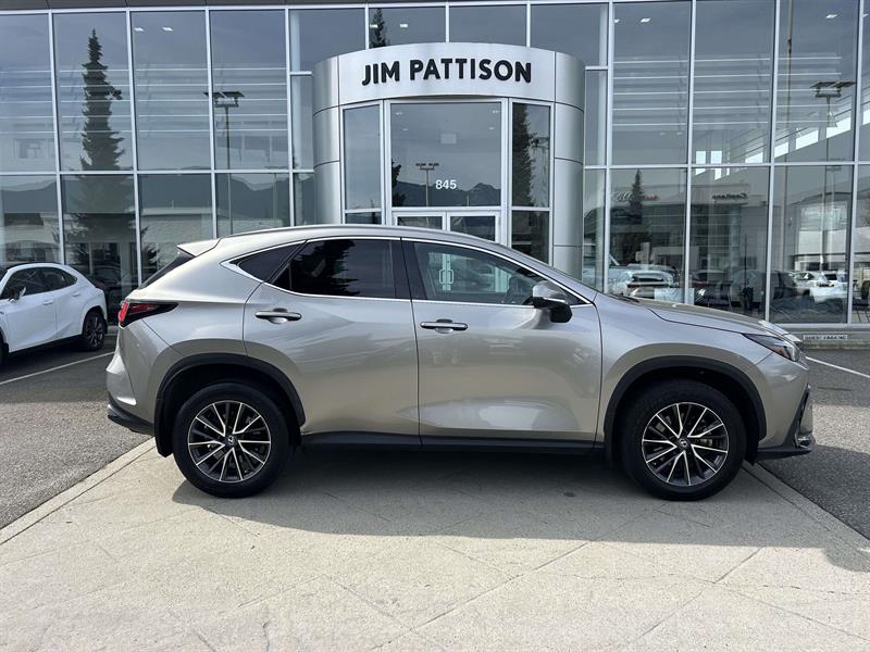 lexus NX 2023 - 6