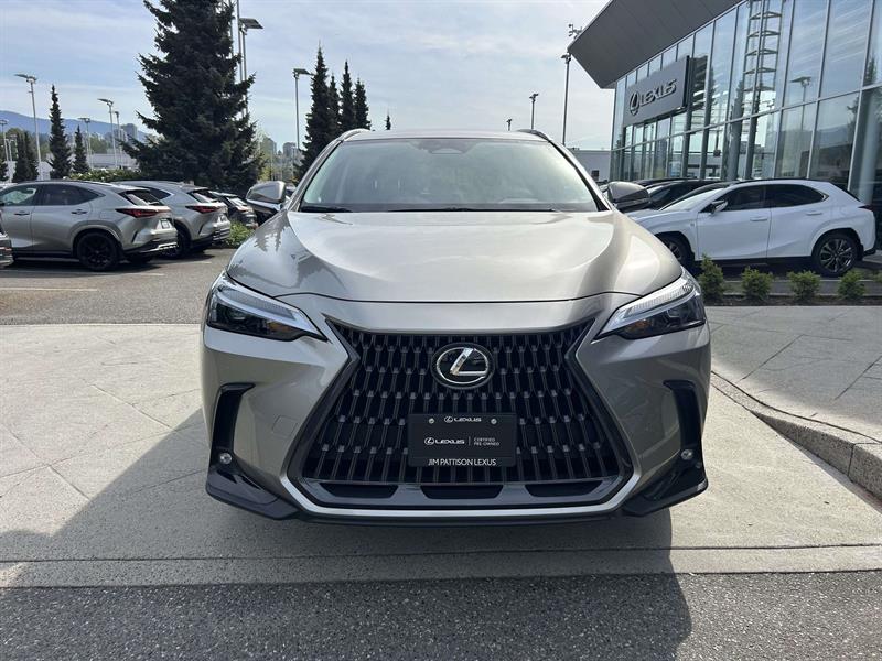 lexus NX 2023 - 8