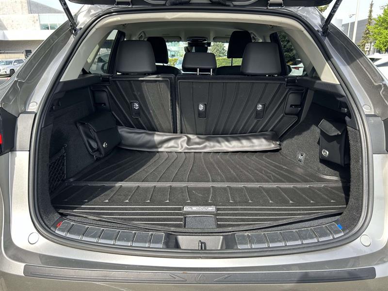 lexus NX 2023 - 24