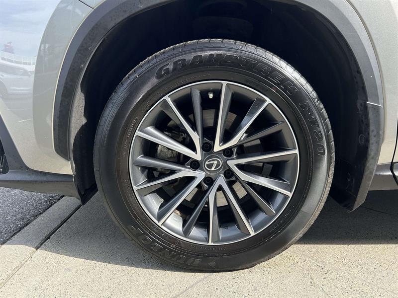 lexus NX 2023 - 25