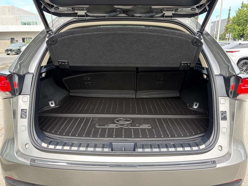 lexus NX 2018 - 24