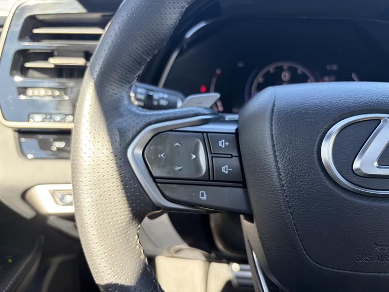 lexus RX 2024 - 10