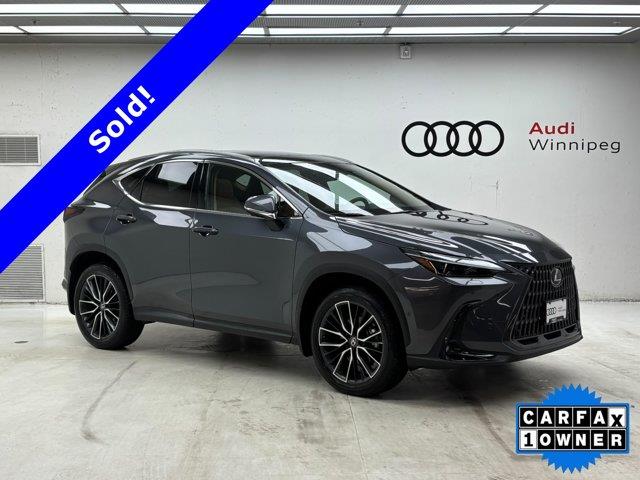 lexus NX 2024