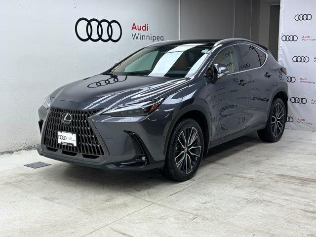 lexus NX 2024 - 2