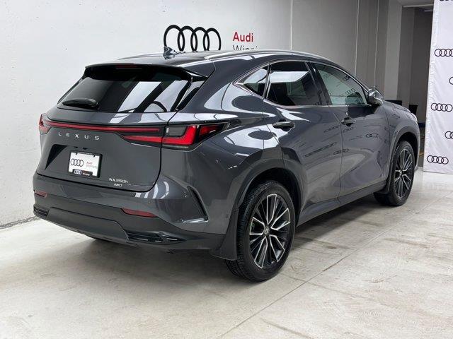 lexus NX 2024 - 4