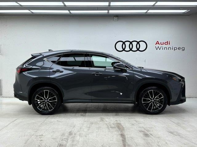 lexus NX 2024 - 5