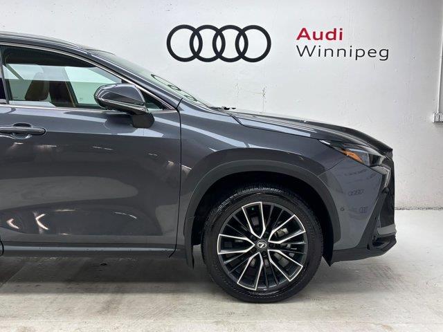 lexus NX 2024 - 6