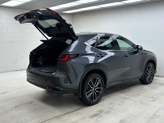 lexus NX 2024 - 8
